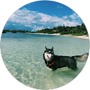 Danielle Ramirez profile picture